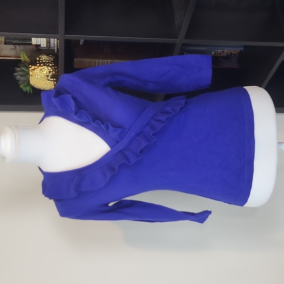 BANANA REPUBLIC Blue Extra Fine Merino Wool Ruffle V-neck 3/4 Sleeve Sweater - Picture 1 of 11